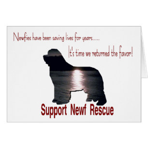 Newfoundland Rescue