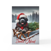 Newfoundland Santa Newf Holiday Card