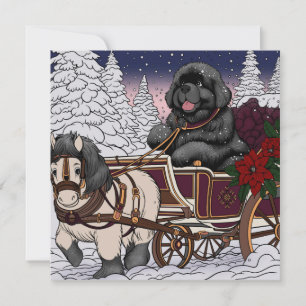 Newfoundland Santa Sleigh  Holiday Card