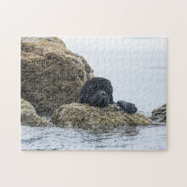 Newfoundland Sea Creature (choose difficulty) Jigsaw Puzzle (Horizontal)