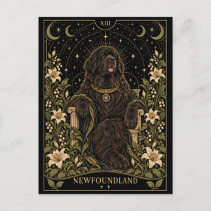 Newfoundland, Starlit Tarot Art Postcard