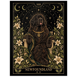 Newfoundland, Starlit Tarot Art Postcard