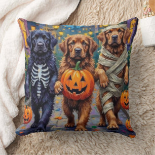 Newfoundland Trick-or-Treating Halloween Costumes Cushion