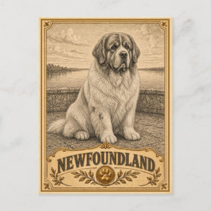 Newfoundland, Vintage Heritage Dog Postcard