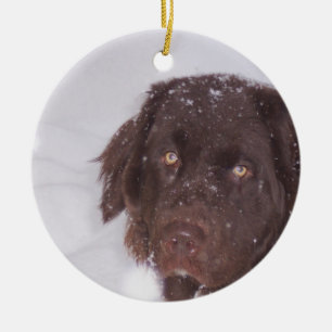 Newfy Girl Christmas Ceramic Tree Decoration