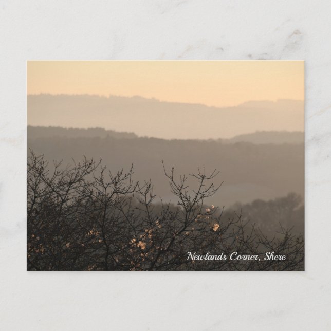 Newlands Corner, Shere Abstract Landscape Postcard (Front)