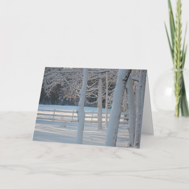 Newly Fallen Snow Christmas Card (Front)