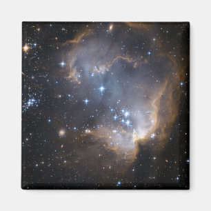 Newly formed stars magnet