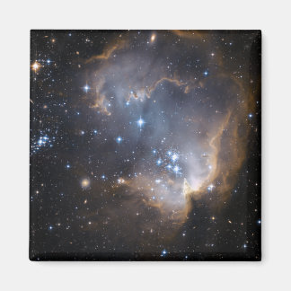 Newly formed stars magnet
