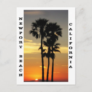 Newport Beach Postcard