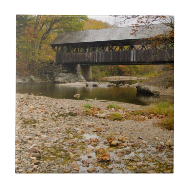 Newry Covered Bridge over river in autumn Tile (Front)