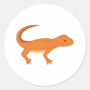 Newt Classic Round Sticker