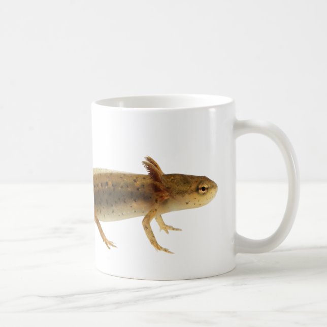 Newt Larva Mug (Right)