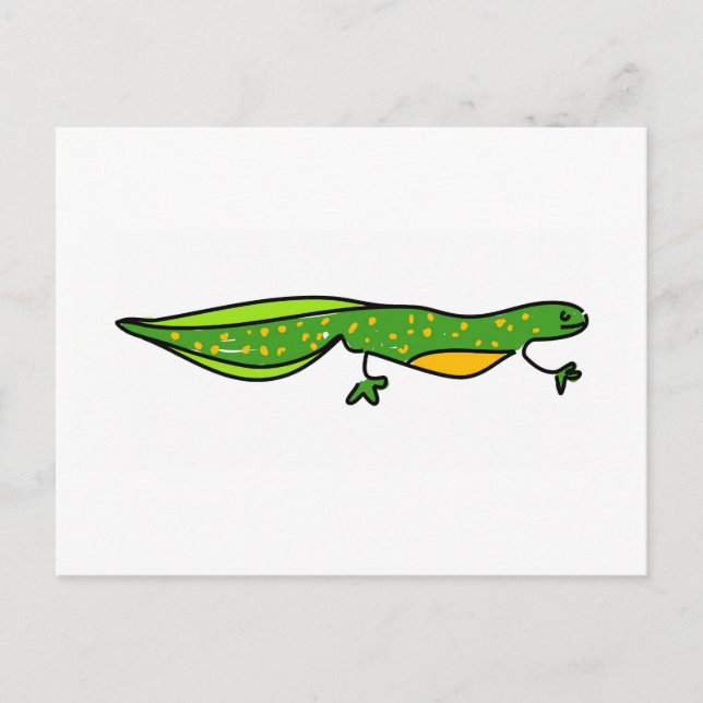 newt postcard (Front)