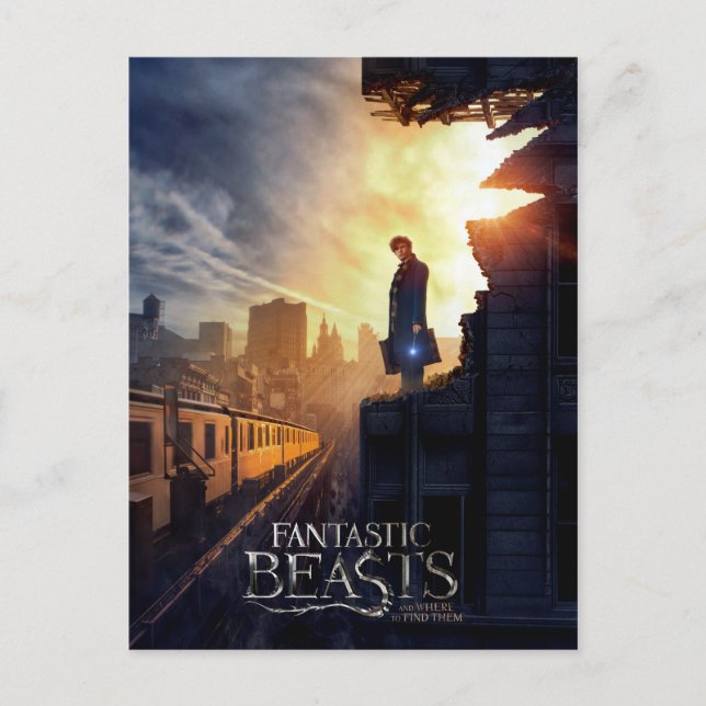 NEWT SCAMANDER™ in Destroyed Building Postcard (Front)