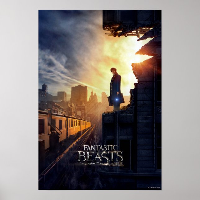 NEWT SCAMANDER™ in Destroyed Building Poster (Front)