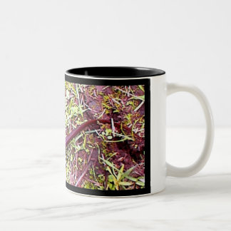 Newt Two-Tone Coffee Mug