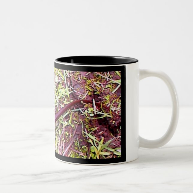 Newt Two-Tone Coffee Mug (Right)