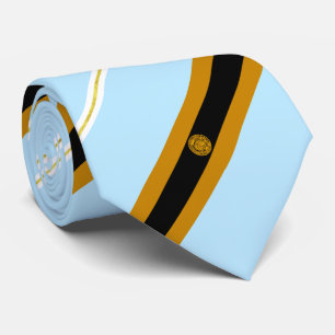 Newton (Massachusetts) city flag Neck Tie