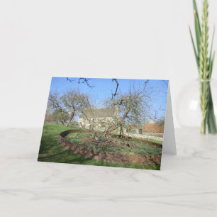 Newton's Tree at Woolthorpe Manor Card