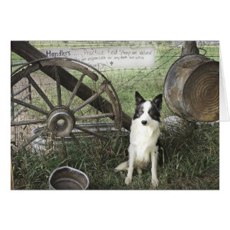 newtpraticefielddragonizer4x6