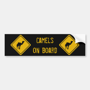 next 10 km camels bumper sticker