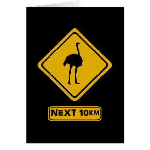 next 10 km ostriches