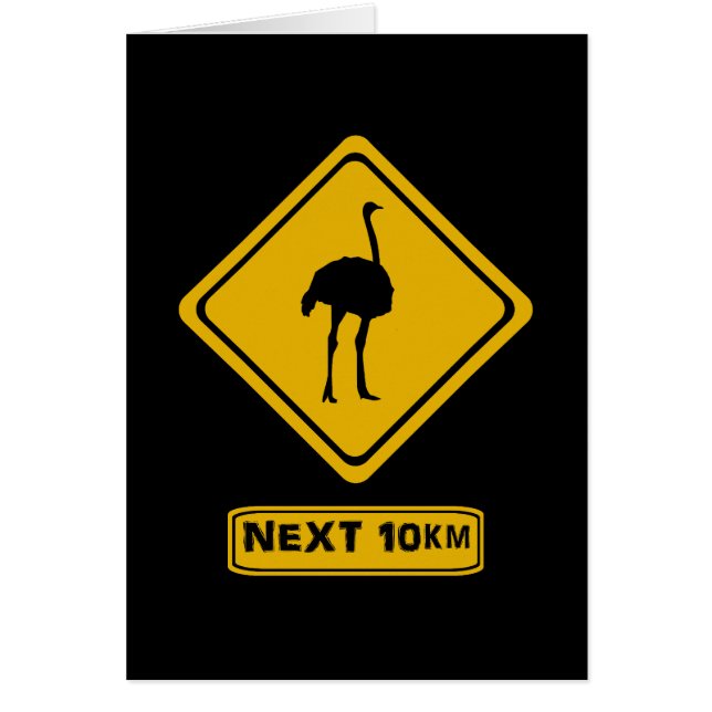 next 10 km ostriches (Front)
