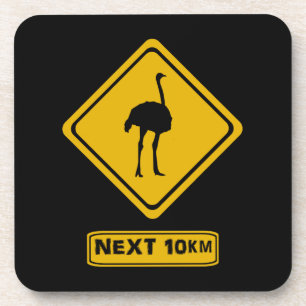 next 10 km ostriches coaster