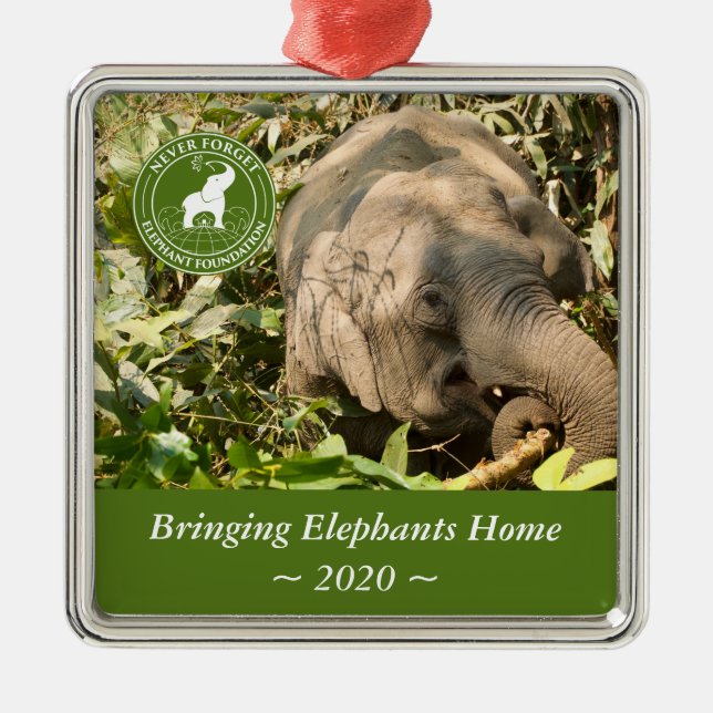 NFEF Square Ornament (Front)