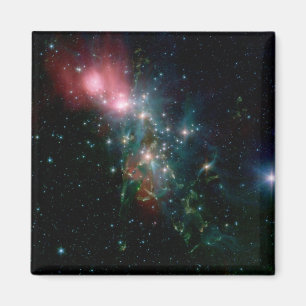NGC 1333 Chaotic birth of stars Magnet