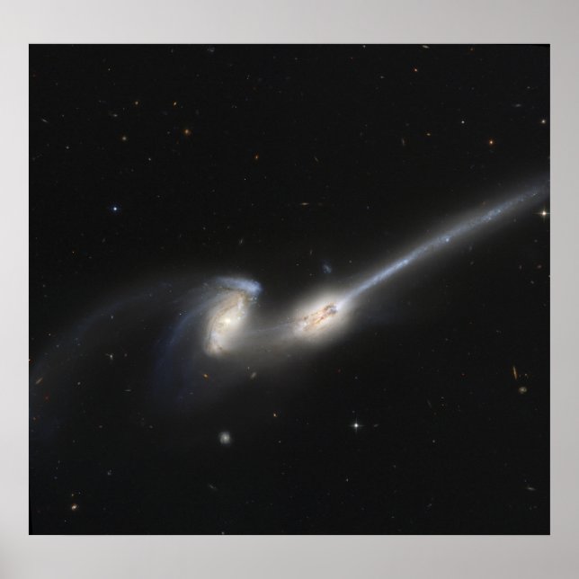 NGC 4676, also known as the Mice Galaxies Poster (Front)