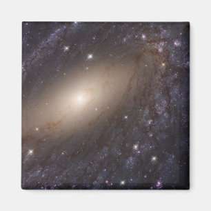 Ngc 6744, 30 Million Light Years Away. Magnet
