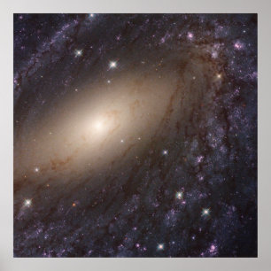 Ngc 6744, 30 Million Light Years Away. Poster