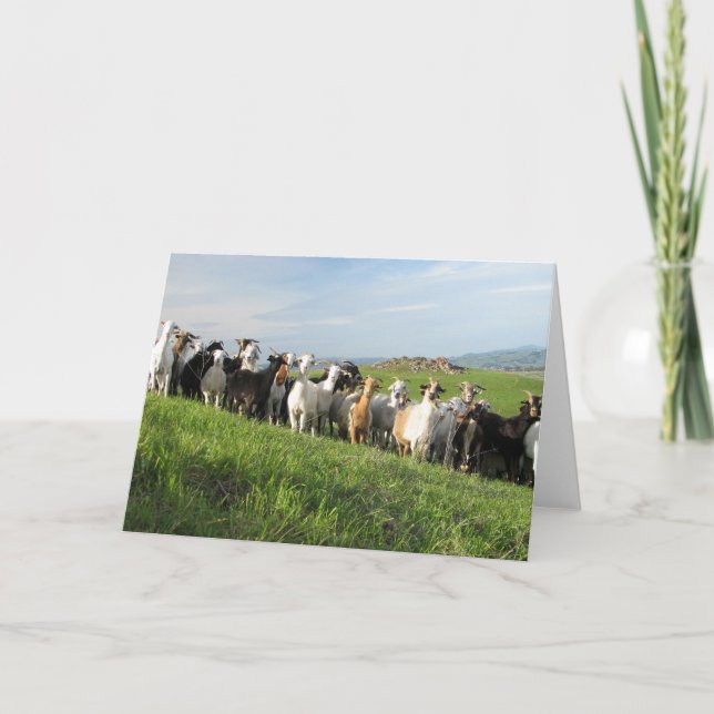 NGIP Greeting Cards (Front)