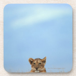 Ngorongoro Crater, Tanzania Coaster