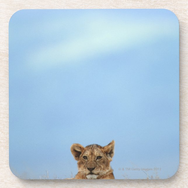 Ngorongoro Crater, Tanzania Coaster (Front)