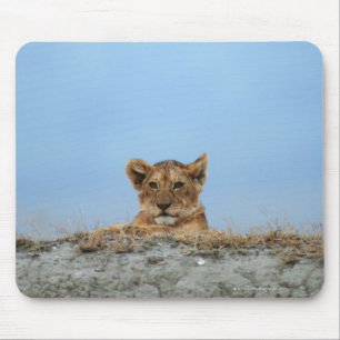 Ngorongoro Crater, Tanzania Mouse Pad