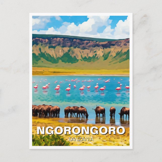 Ngorongoro Tanzania Wildebeest Flamingo Postcard (Front)