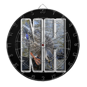 NH NEW HAMPSHIRE DARTBOARD