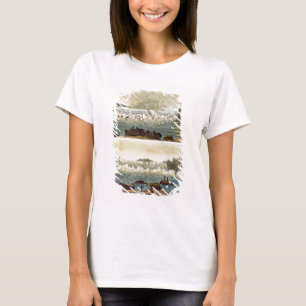 Niagara Falls, 1818 (colour engraving) T-Shirt