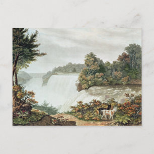 Niagara Falls, from Goat Island Postcard
