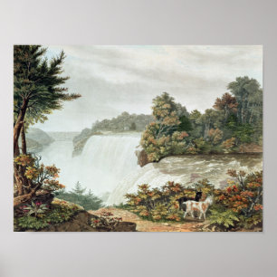 Niagara Falls, from Goat Island Poster