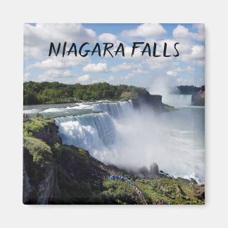 Niagara Falls Magnet