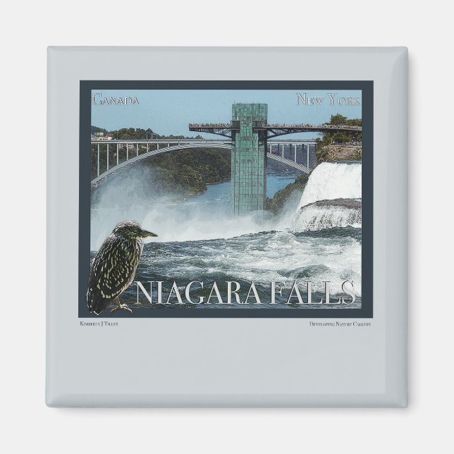 Niagara Falls Poster Magnet (Front)