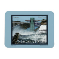 Niagara Falls Poster