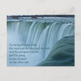 Niagara Falls Stay Focused Postcard
