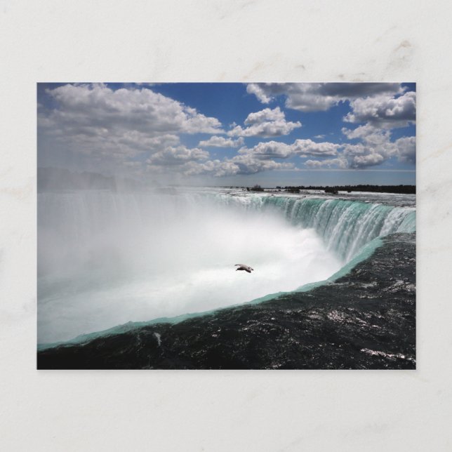 Niagara Falls with Seagull Postcard (Front)
