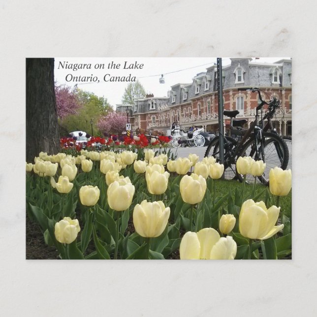 Niagara on the Lake Postcard (Front)