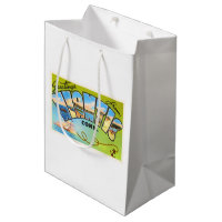 Niantic Connecticut CT Old Vintage Travel Souvenir